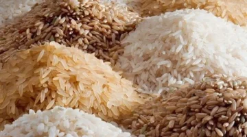 تحديث أسعار الأرز الشعير في الأسواق المحلية السبت 25 أكتوبر 2025 وتأثيرها على المستهلكين